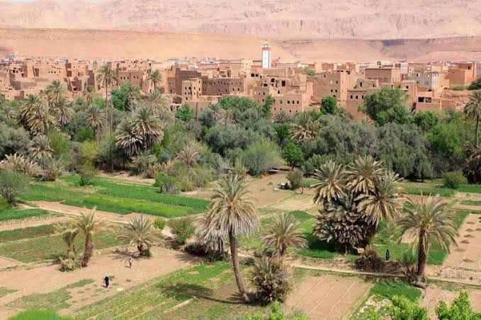 2-Day Tour from Boumalne Dades showcasing lush green palm trees, agricultural fields, and traditional brown mud-brick village amid arid mountain backdrop