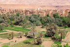2-Day Tour from Boumalne Dades showcasing lush green palm trees, agricultural fields, and traditional brown mud-brick village amid arid mountain backdrop