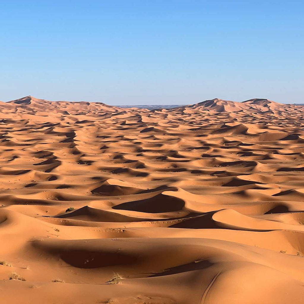 Expansive golden sand dunes under clear blue sky in the Sahara Desert during 2-Day Tour from Marrakech