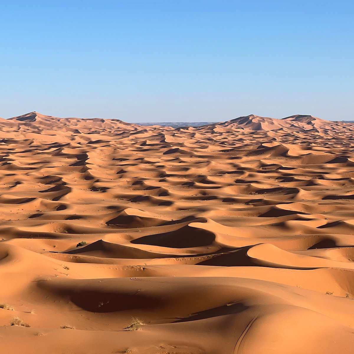 Expansive golden sand dunes under clear blue sky in the Sahara Desert during 2-Day Tour from Marrakech