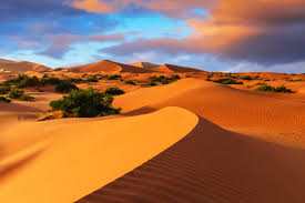 2-Day Tour from Marrakech showcasing golden sand dunes in the Sahara Desert under a vibrant sunset sky