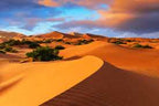 2-Day Tour from Marrakech showcasing golden sand dunes in the Sahara Desert under a vibrant sunset sky