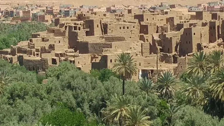 2-Day Tour from Marrakech featuring traditional brown clay kasbahs nestled among lush green palm trees in a Moroccan desert oasis