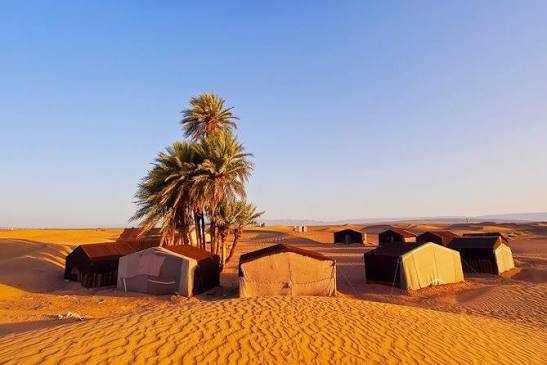 Desert camp with tents and palm trees on golden sand dunes under clear blue sky during 3-Day Tour from Ouarzazate to Merzouga and Zagora
