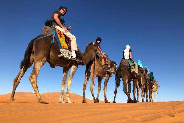 Line of camels with colorful blankets and riders trekking across orange desert sand under clear blue sky during 3 Days Tour from Fes to Merzouga.