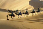 Camel caravan trekking across golden sand dunes under bright sunlight in a desert landscape during the 3 Days Tour.
