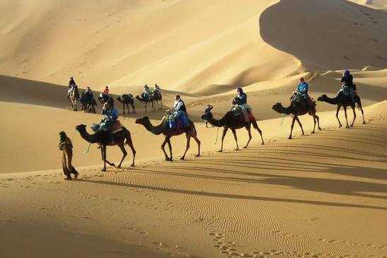 Camel caravan trekking across golden sand dunes under bright sunlight in a desert landscape during the 3 Days Tour.