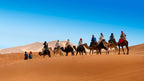 4-day desert tour showing a caravan of people riding camels over golden sand dunes under a clear blue sky