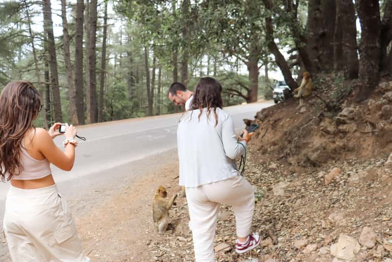 Group of tourists taking photos of monkeys in a dry forest area on a 4-day desert tour with casual light clothing