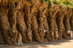 Park Güell Skip The Line Ticket  Guided Tour