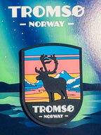 Tromsø: Reindeer Sledding, Feeding & Sami Culture Experience
