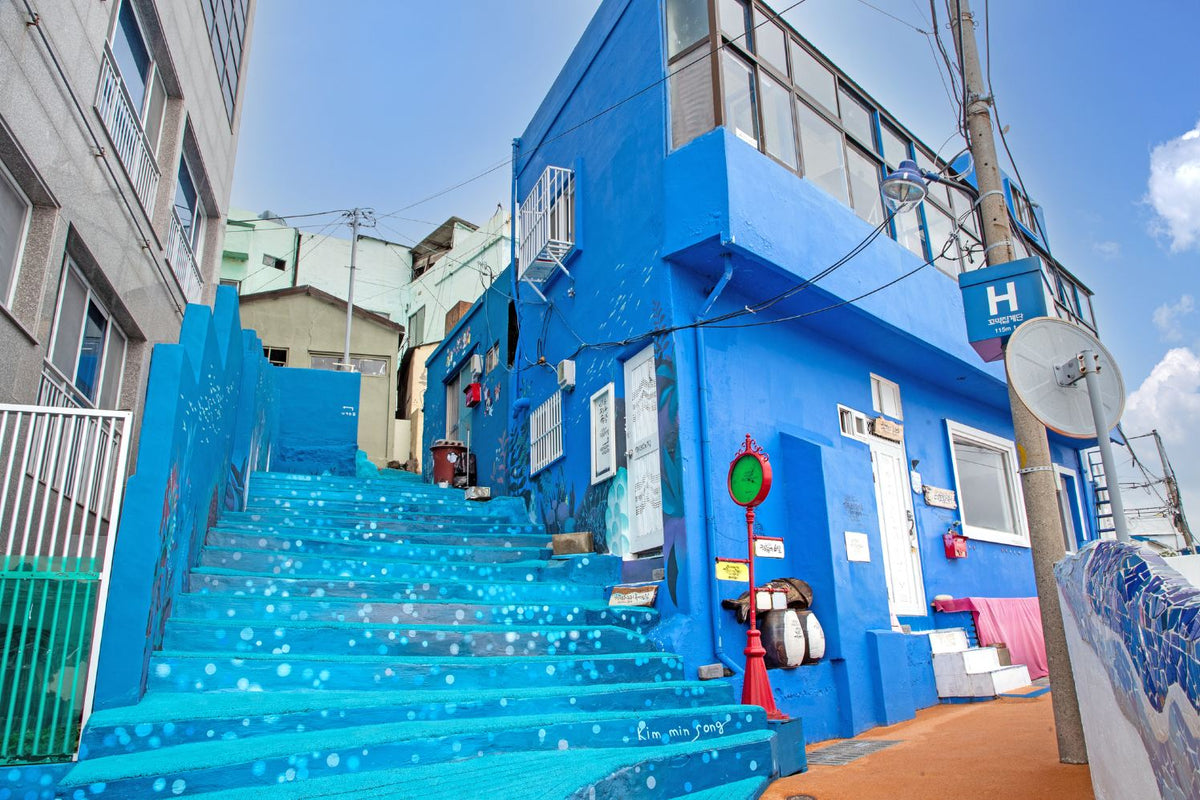 Discover the best of Busan on an one-day city tour