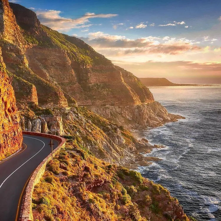 Discover the highlights of Cape Town small-group full-day tour 