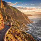 Discover the highlights of Cape Town small-group full-day tour 