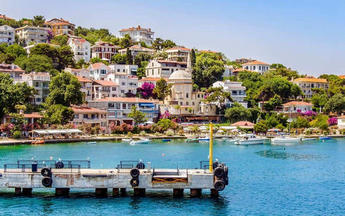 From Istanbul: Full-Day Princes’ Island Tour with Lunch