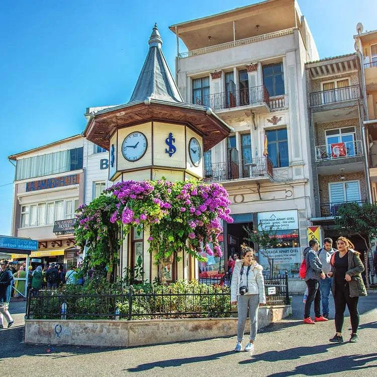 Istanbul Princes' Islands Day Tour with Hotel Pickup and Lunch