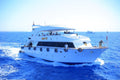 Snorkeling Trip to White Island Ras Mohammed in Sharm El Sheikh
