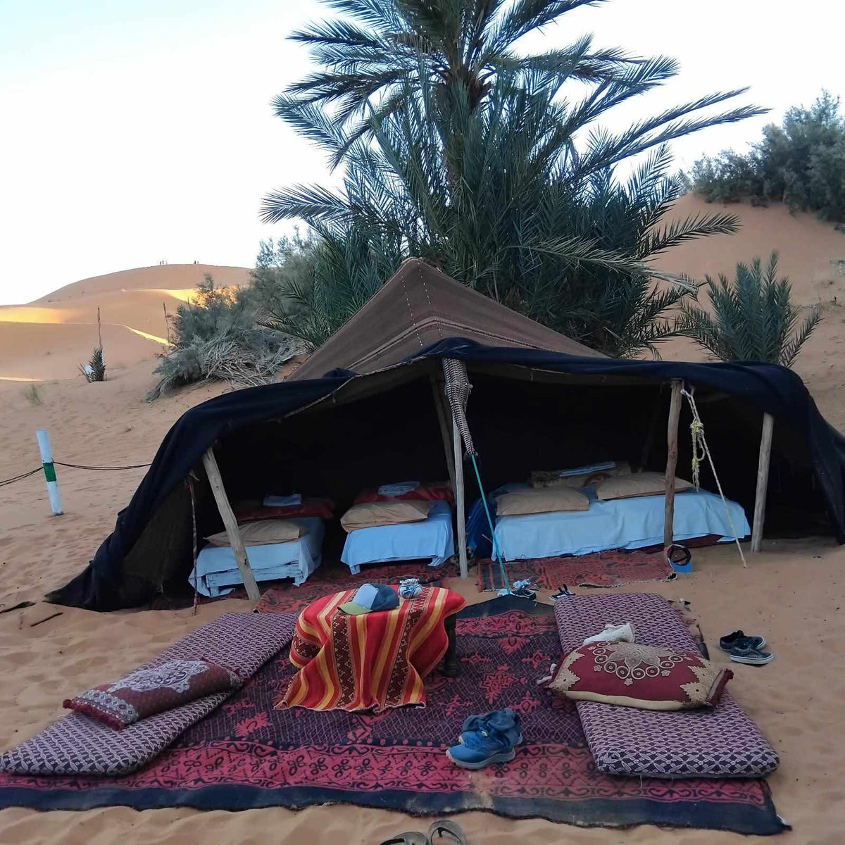 2-hour camel trekking from Merzouga to Oasis back to Merzouga