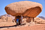 Full Day Private Trip to Petra and Wadi Rum, Jordan