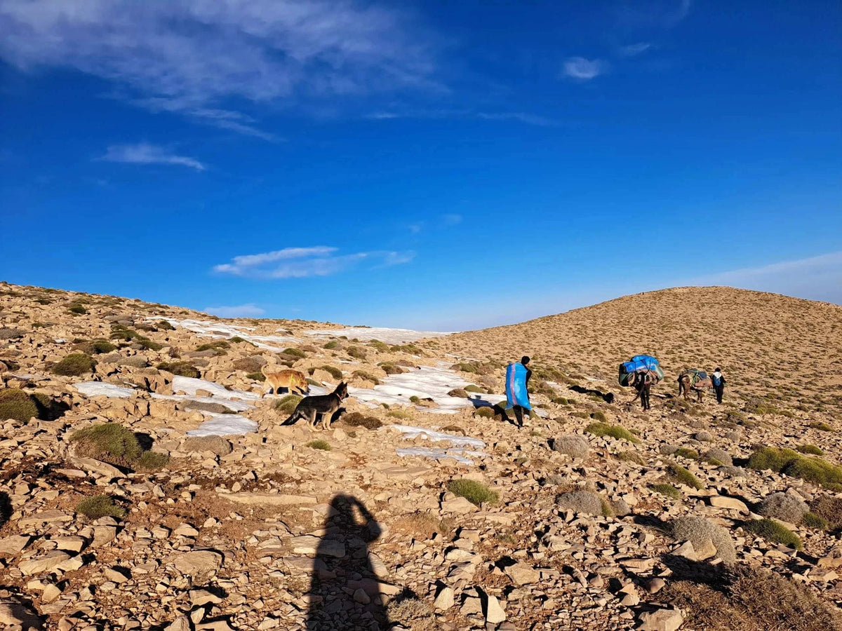 Rocky dry terrain with scattered bushes under blue sky, several people walking along a rugged path with donkeys and dogs during Boumalne Dades Tour