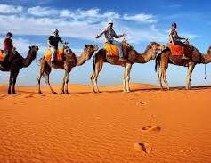 Camel trekking adventure with five riders on camels crossing orange sand dunes under a blue sky