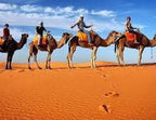 Camel trekking adventure with five riders on camels crossing orange sand dunes under a blue sky
