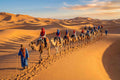 Long caravan of camels with riders in colorful headscarves led by guide in blue robe trekking across golden sand dunes during camel trekking adventure.