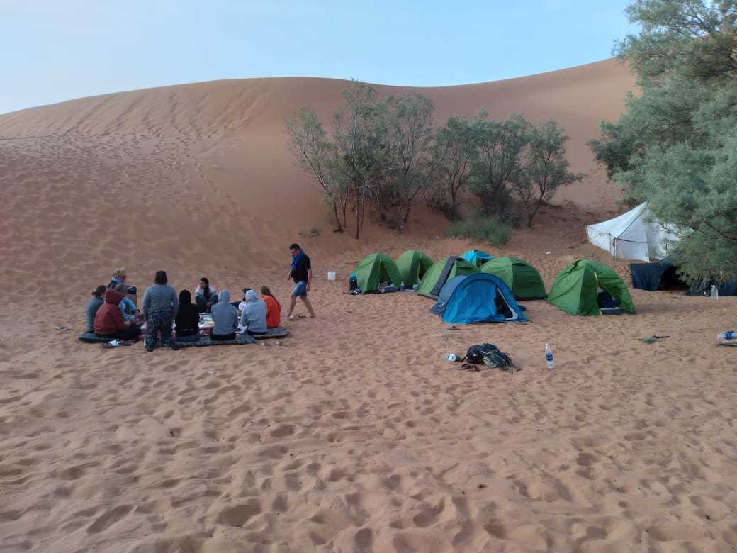 Camel Trekking desert camp scene with group of people sitting on sand near green and blue tents against sand dunes and trees