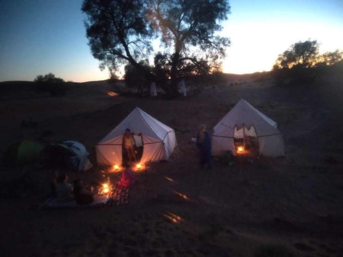 Camel Trekking desert campsite at dusk with white canvas tents and warm campfires under large trees on sandy terrain