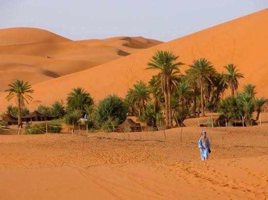 Desert landscape with golden sand dunes and palm trees, a person walking near a traditional desert camp, perfect for Camel Trekking adventure.