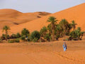 Desert landscape with golden sand dunes and palm trees, a person walking near a traditional desert camp, perfect for Camel Trekking adventure.