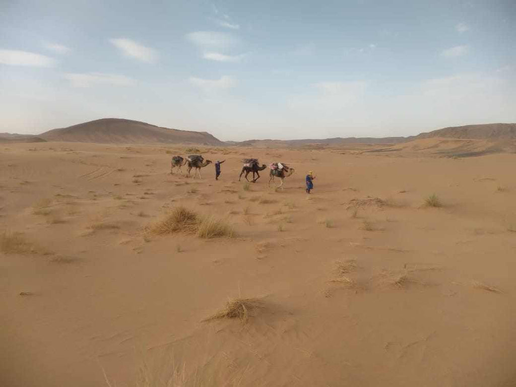 Camel trekking across a vast golden sand desert with two guides dressed in blue leading three camels carrying supplies under a partly cloudy sky