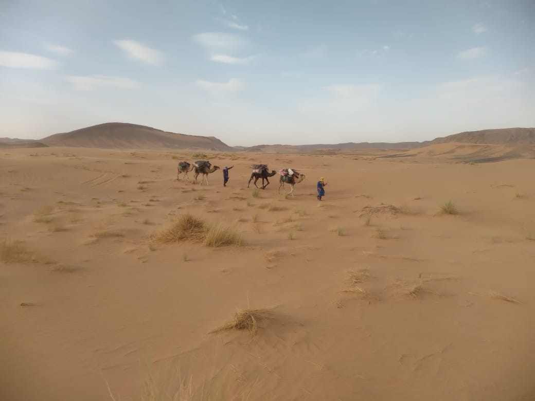Camel trekking across a vast golden sand desert with two guides dressed in blue leading three camels carrying supplies under a partly cloudy sky