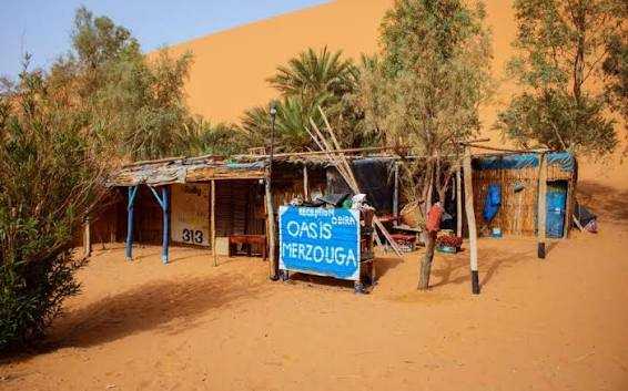 Rustic desert shelter with blue signage reading Oasis Merzouga surrounded by trees and sand dunes, illustrating Camel Trekking in Merzouga.