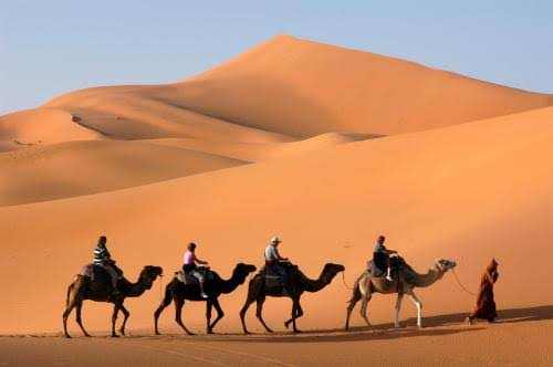 Camel Trekking in the Sahara Desert with four riders on camels crossing golden sand dunes under a clear sky at sunset.