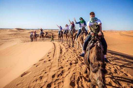 Camel Trekking in the Sahara Desert with riders on brown camels crossing golden sand dunes under a clear blue sky.