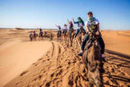 Camel Trekking in the Sahara Desert with riders on brown camels crossing golden sand dunes under a clear blue sky.