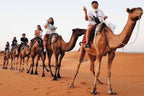 Camel Trekking to the Sahara Desert with a line of riders on tan camels crossing golden sand dunes under clear sky