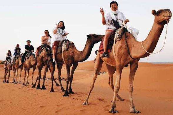 Camel Trekking to the Sahara Desert with a line of riders on tan camels crossing golden sand dunes under clear sky