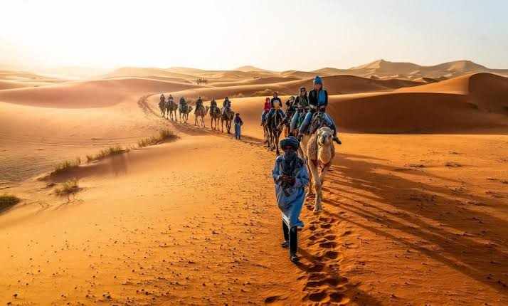Camel Trekking to the Sahara Desert featuring a line of camels and riders crossing golden sand dunes under clear skies in Erg Chebbi