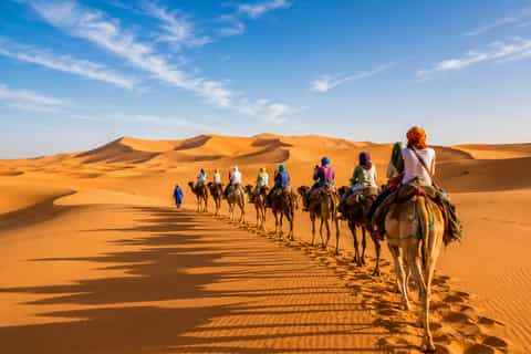 Camel trekking to the Sahara Desert with tourists riding camels across golden sand dunes under a blue sky