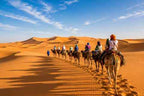 Camel trekking to the Sahara Desert with tourists riding camels across golden sand dunes under a blue sky
