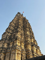 Hampi day tour experience the highlights World Heritage destination