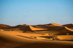 Golden sand dunes of the Sahara desert under a clear blue sky with sparse vegetation in the foreground, perfect for a Day Tour from Erfoud to Merzouga.