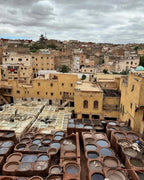 Day Tour from Fes to Merzouga showing traditional Moroccan leather tanning pits with circular vats in various shades of brown and white under a cloudy sky