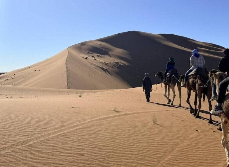 Desert Erg Chigaga Camp camel caravan with riders crossing golden sand dunes under clear blue sky