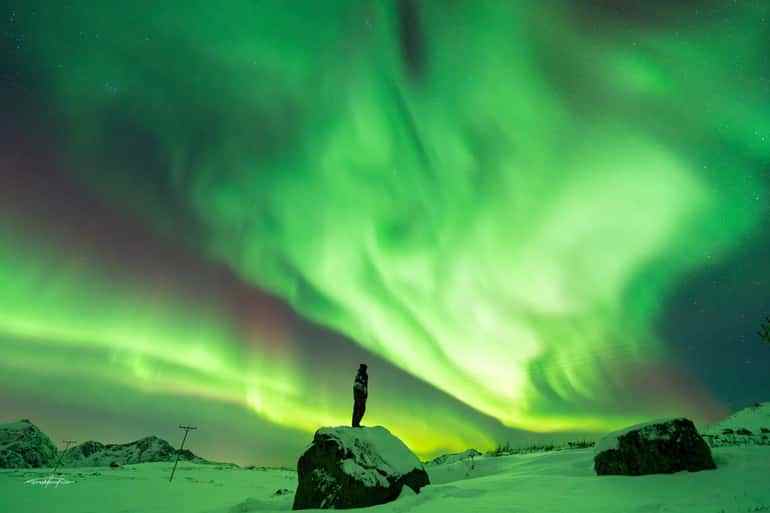 Tromsø: Northern Lights Safari with Expert Guides