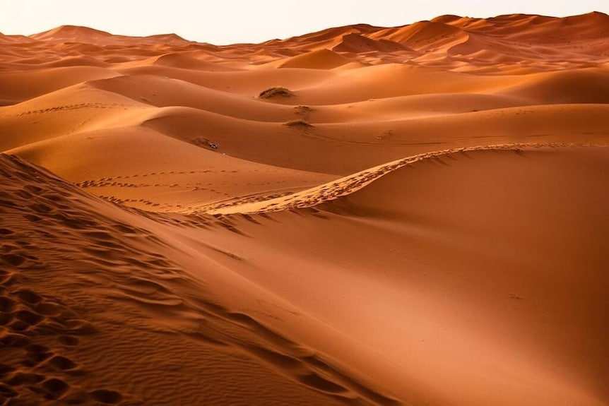 Erg Chigaga Star Camp desert dunes with smooth, golden-orange sand and natural wind-sculpted patterns