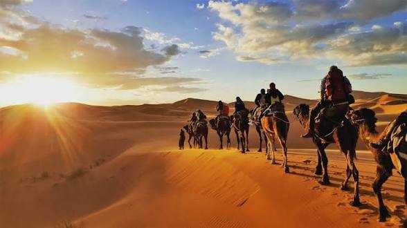 Errachidia Airport camel trekking tour featuring a group riding camels across golden sand dunes at sunset in the Sahara Desert