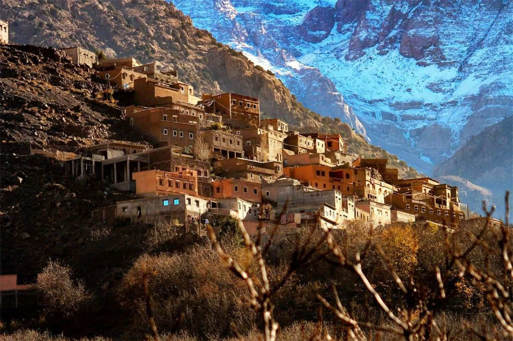 From Marrakech to Ourika Valley tour featuring a traditional terracotta mountain village beneath snow-capped Atlas peaks
